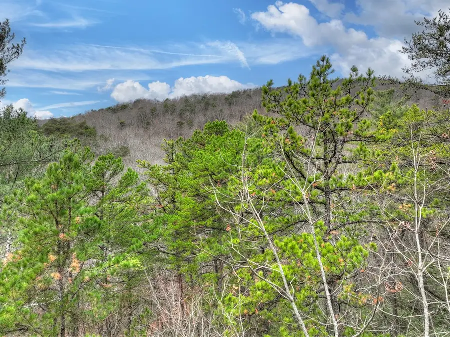 00 Spruill Drive, Ellijay, GA 30536 - Image #3