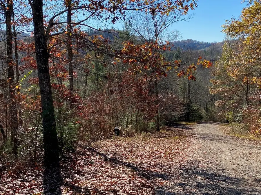 Lot 24 Thimble Loop, Murphy, NC 28906 - Image #3