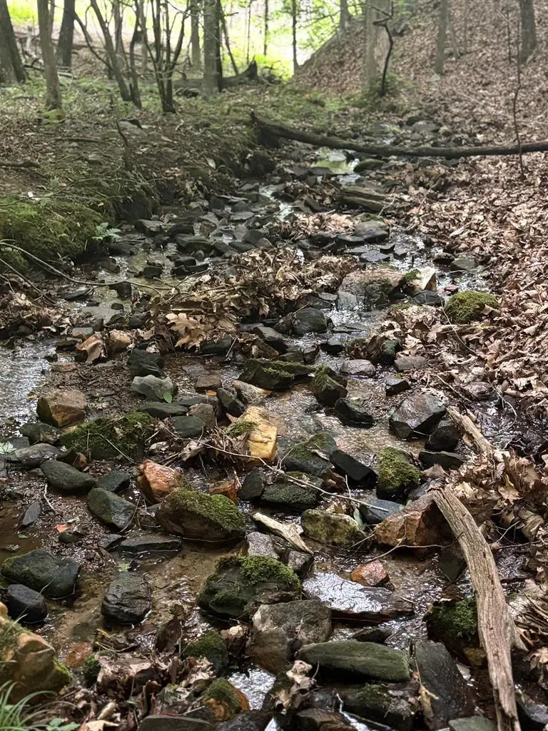 0 Walker Drive, Morganton, GA 30560 - Image #3