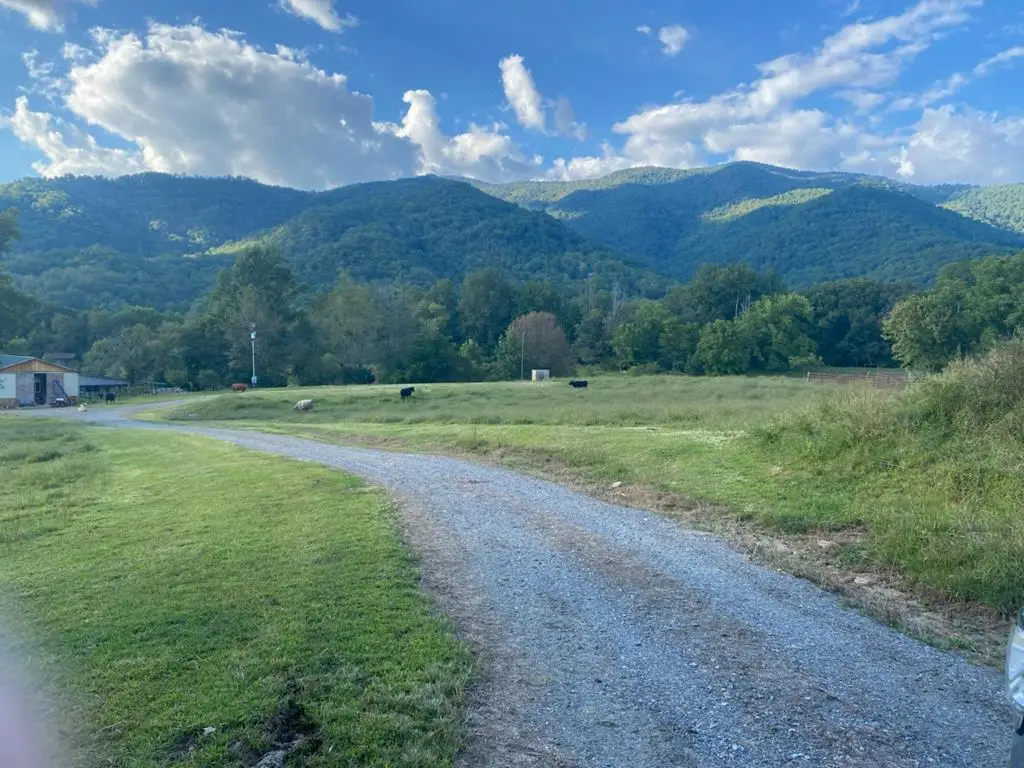 10617 Hwy 64 E, Hayesville, NC 28904 - Image #1