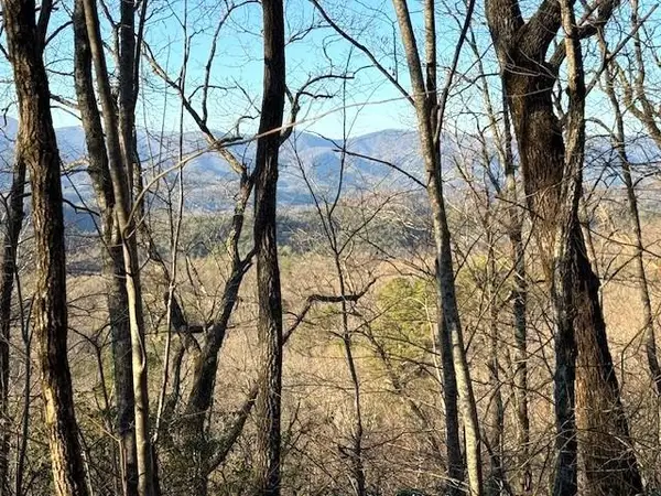 7.0 ac Laurel Drive, Marble, NC 28905