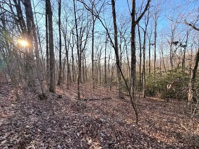 7.0 ac Laurel Drive, Marble, NC 28905 - Image #3