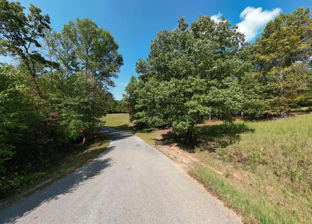 Tract 2 Barnes Creek Road, Blairsville, GA 30512 - Image #1