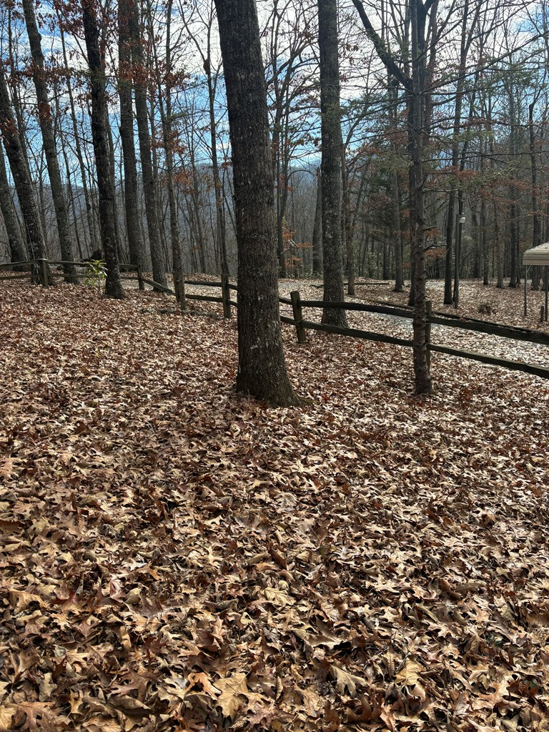 119 Laurel Branch Drive, Hayesville, NC 28904 - Image #1