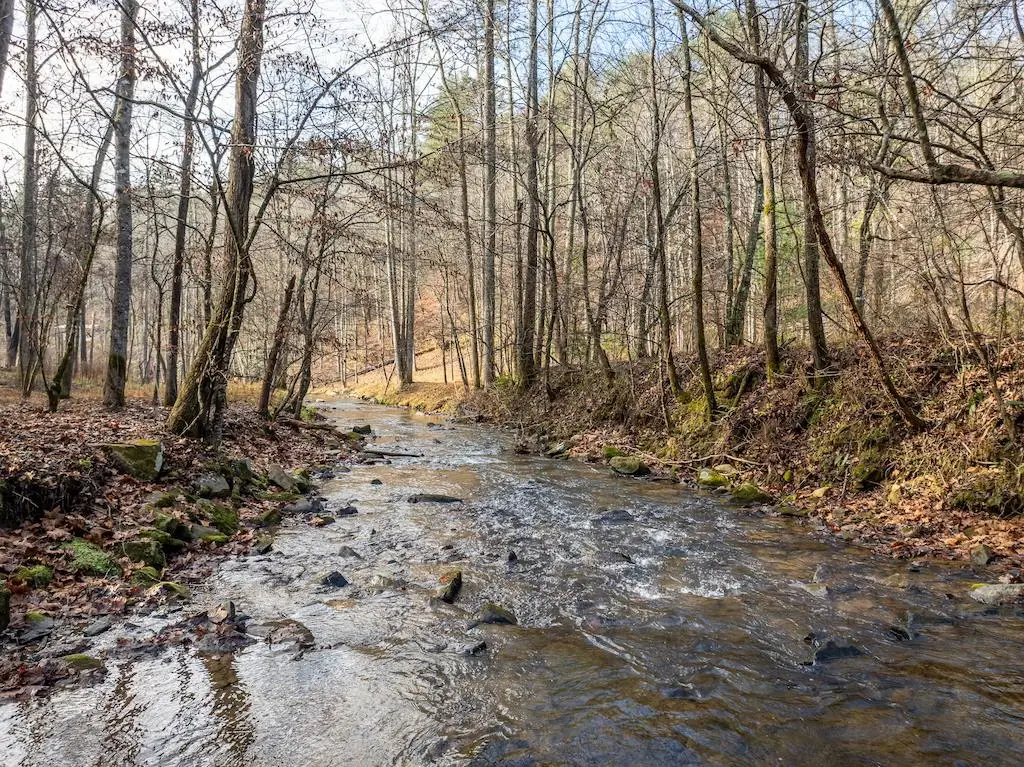 894 Hap Holt Road, Ellijay, GA 30540 - Image #1