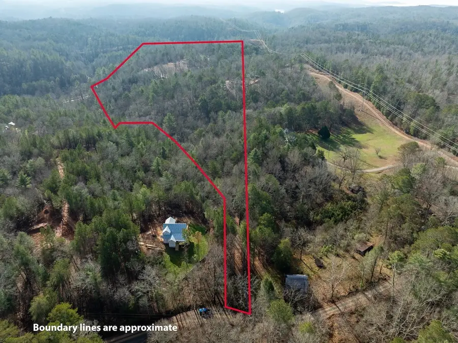780 Banks Road, Ellijay, GA 30540 - Image #3