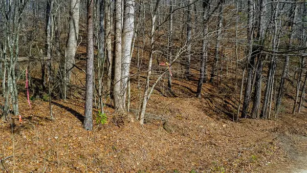 0 Rambling Road, Talking Rock, GA 30175