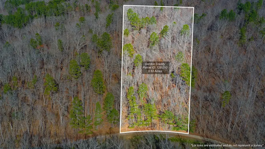 0 Rambling Road, Talking Rock, GA 30175 - Image #3