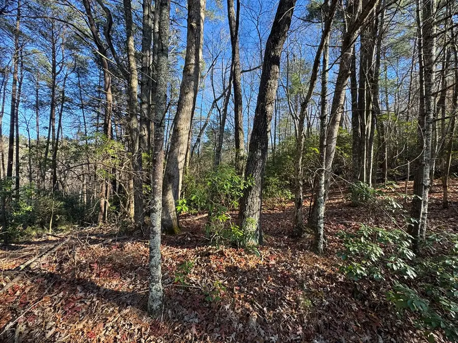 Lot J260 Pine Ridge Road, Ellijay, GA 30536 - Image #2