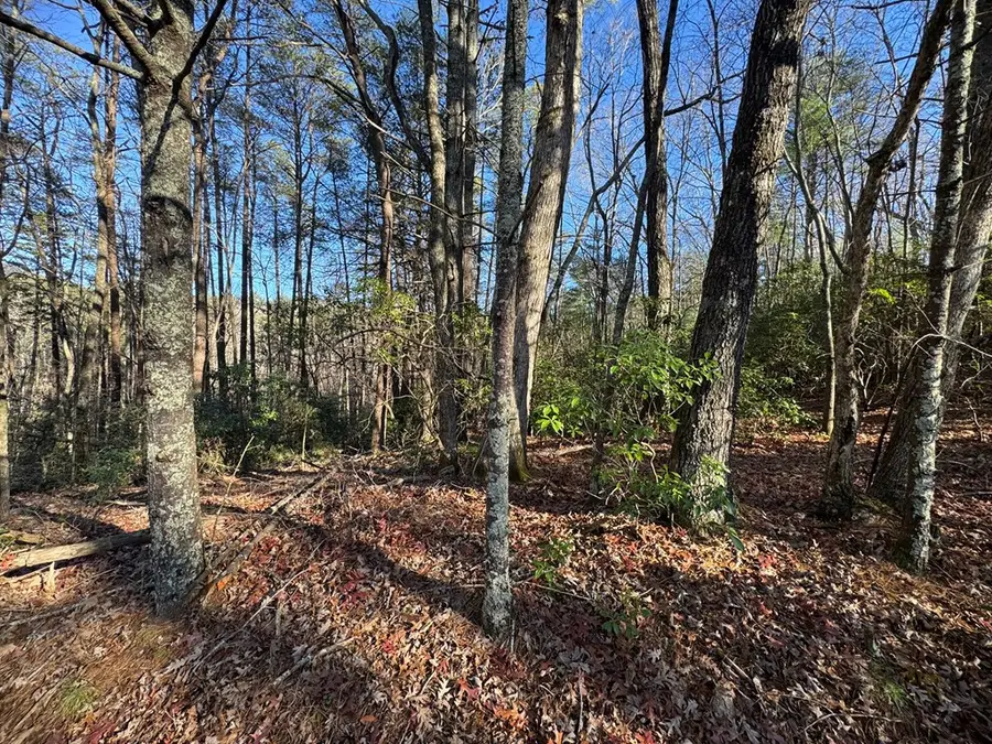 Lot J260 Pine Ridge Road, Ellijay, GA 30536 - Image #3