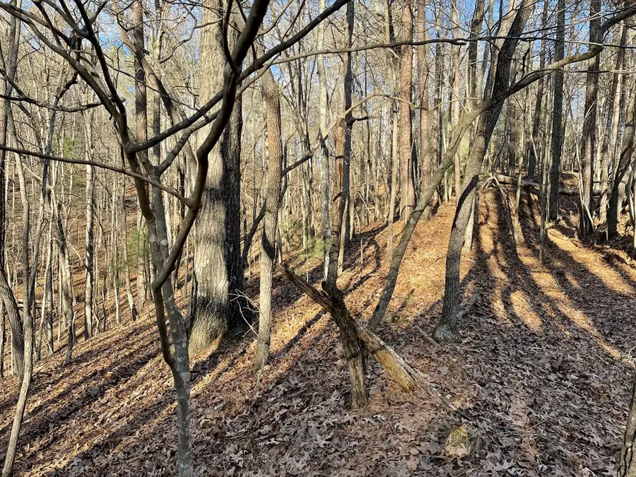 2458 Montage Drive, Carters Lake, GA 30560 - Image #2