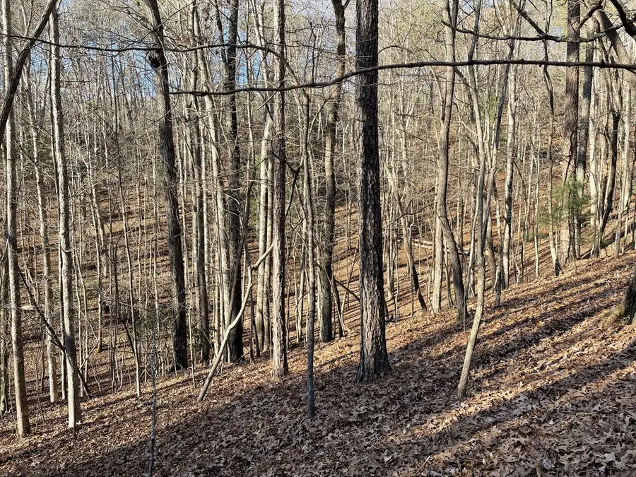 2458 Montage Drive, Carters Lake, GA 30560 - Image #3