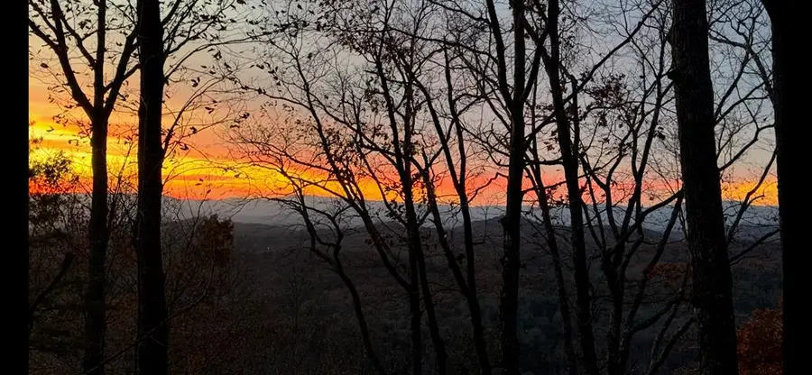 39 Joanna Court, Mineral Bluff, GA 30559 - Image #3