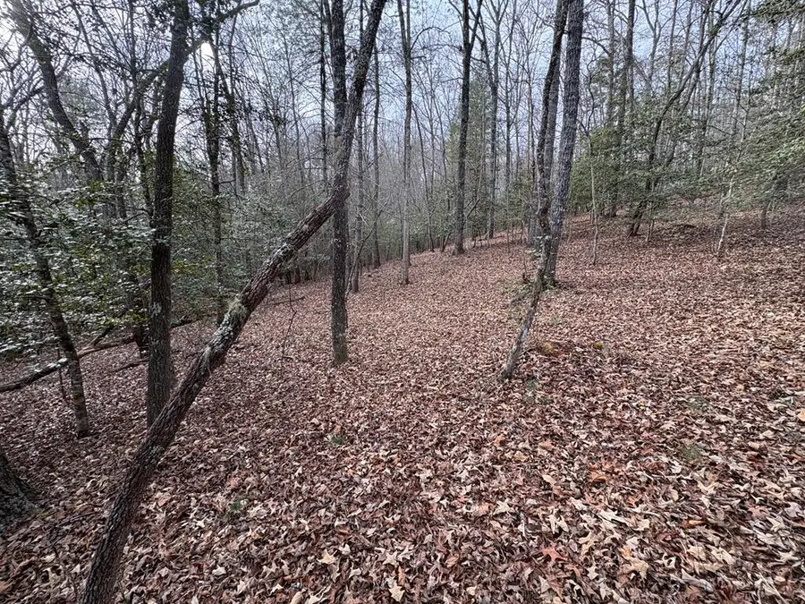 4 Lots Old Johnson Road, Murphy, NC 28906 - #2