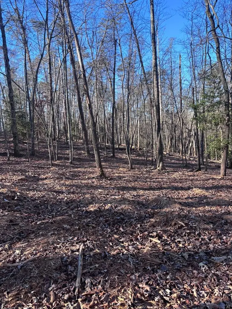 Lot 74 Bice Lane, Blue Ridge, GA 30513 - Image #1