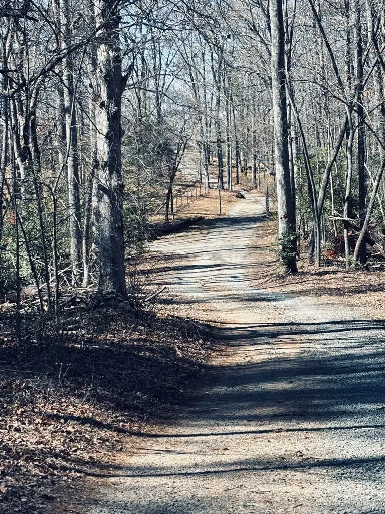 Lot 74 Bice Lane, Blue Ridge, GA 30513 - Image #3