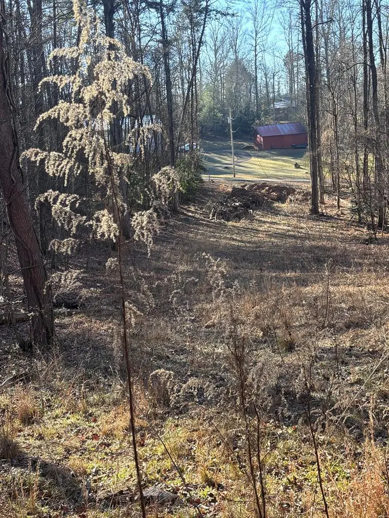 Lot 73 Bice Lane, Blue Ridge, GA 30513 - Image #2