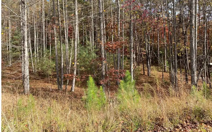 LOT 132 Fox Ridge, Blairsville, GA 30512 - Image #2