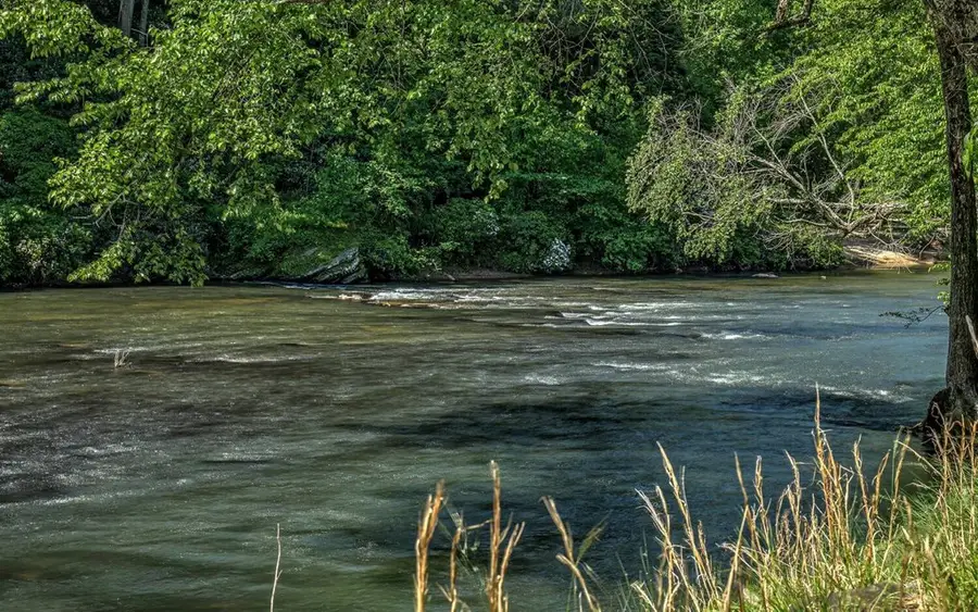 343 Muller Lane, Ellijay, GA 30540 - Image #2