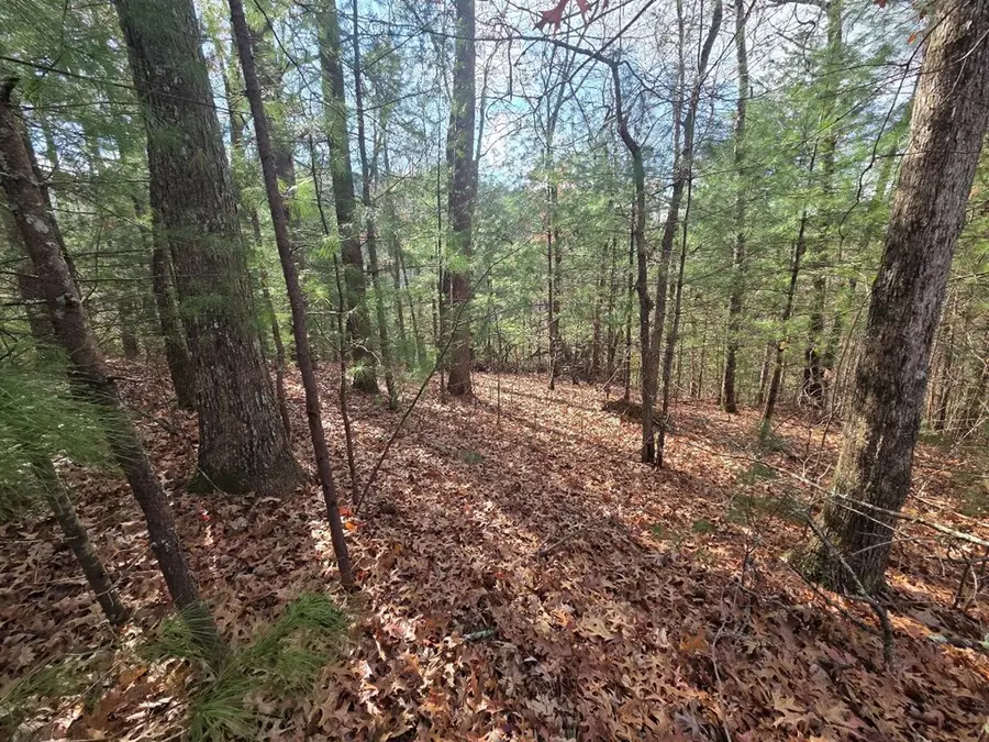 Lot 10 Wildcat Creek, Suches, GA 30572 - Image #3
