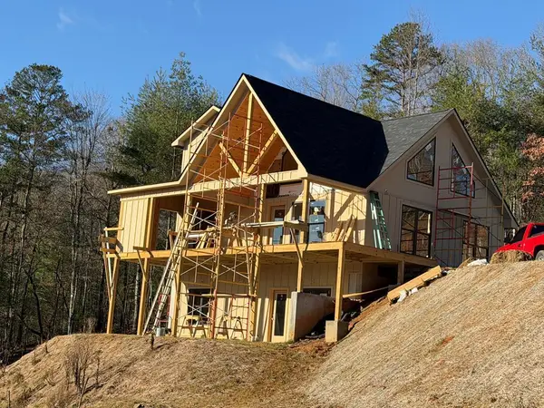 20B Twin Springs Road, Mineral Bluff, GA 30559