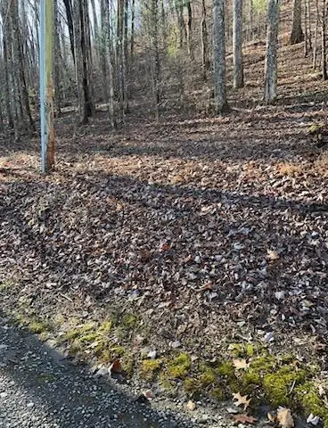 26 Soapstone Creek Circle, Hiawassee, GA 30546 - Image #2