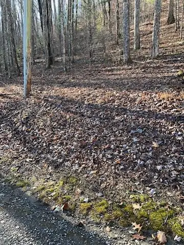 26 Soapstone Creek Circle, Hiawassee, GA 30546 - Image #3