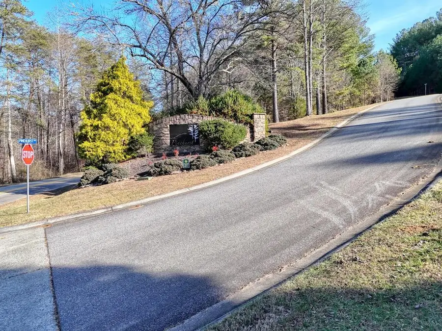 Lot 14 Pinehurst, Blairsville, GA 30512 - #2