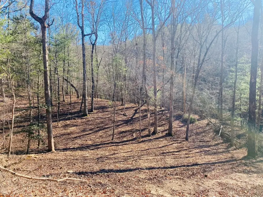 Lot 205 Windy Mountain Peak Lane, Murphy, NC 28906 - Image #2