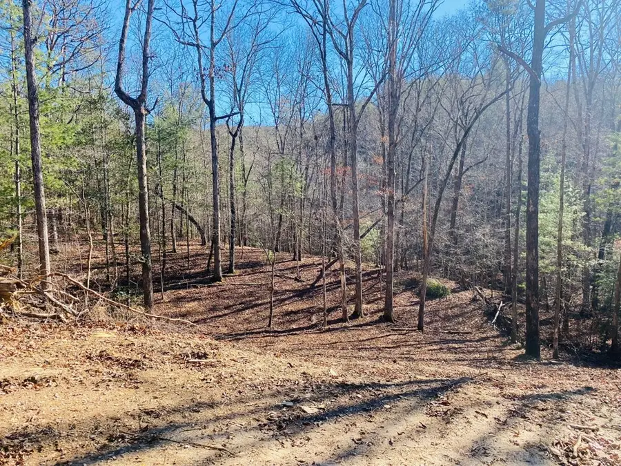 Lot 205 Windy Mountain Peak Lane, Murphy, NC 28906 - Image #3