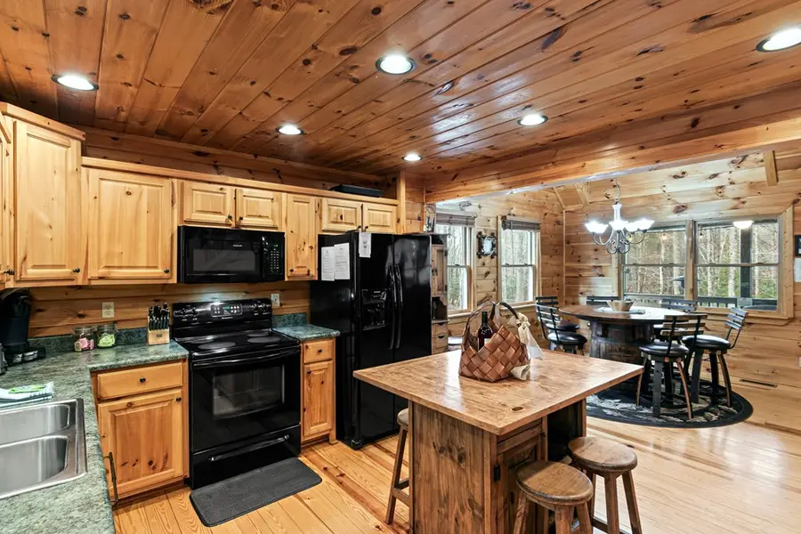 850 Mountain Lake Circle, Blue Ridge, GA 30513 - Image #3