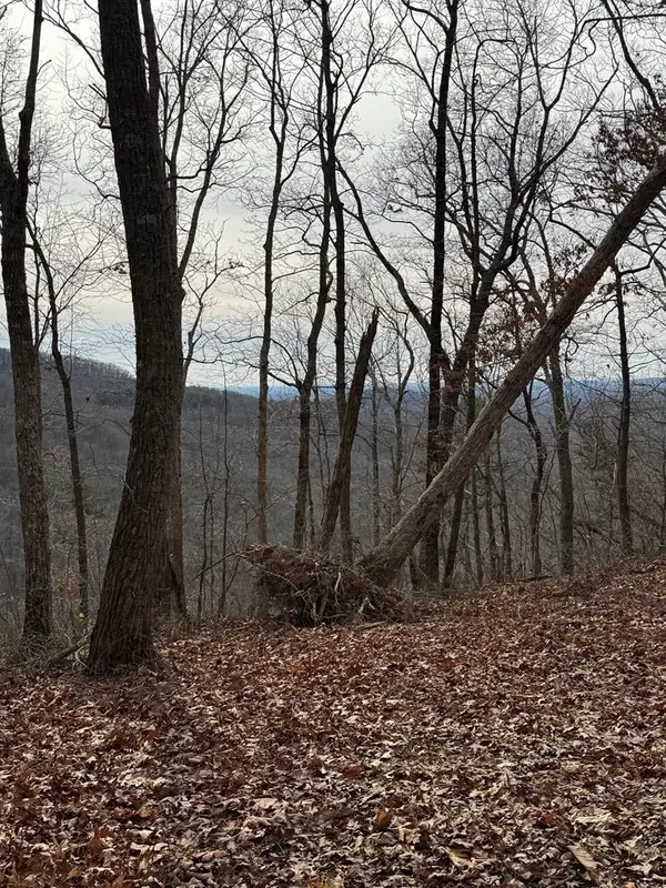 Lot 109A Folkstone Road, Talking Rock, GA 30143