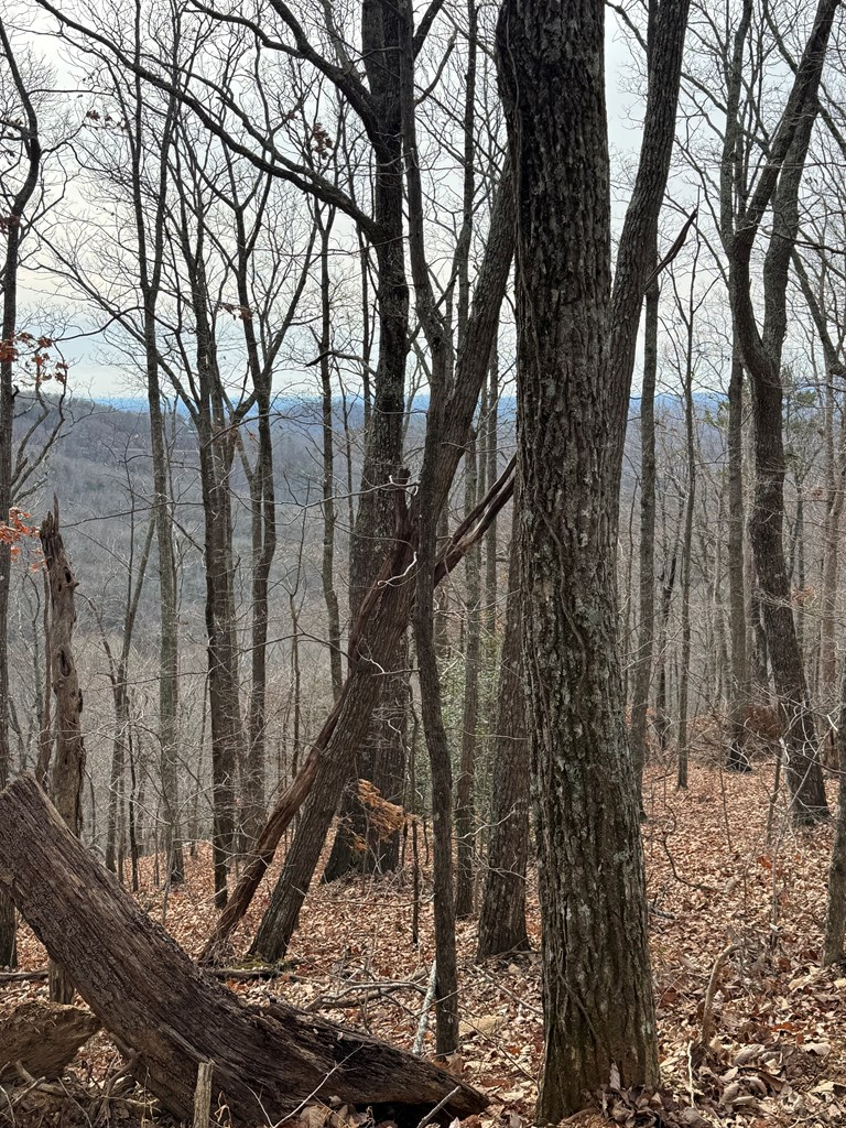 Lot 109B Folkstone Road, Nelson Tate Marble Hill, GA 30143 - Image #2