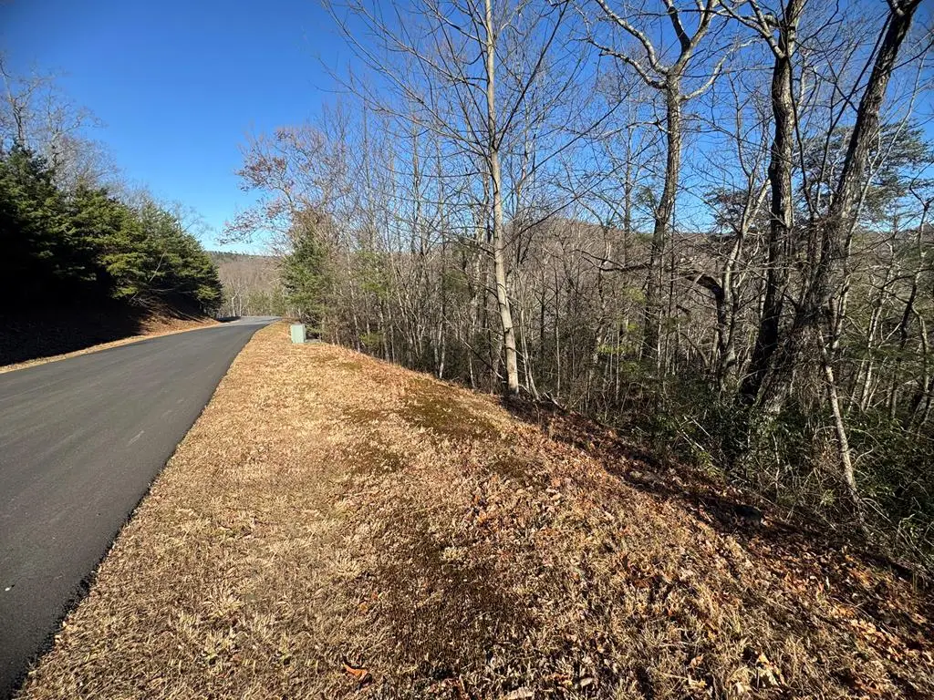 Lot 228 Andes Ridge, Ellijay, GA 30540 - Image #1