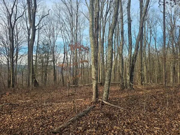 029003.0 Smith Mountain, Dunlap, TN 37327