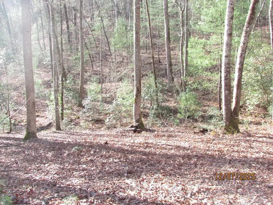 175 Broadtree Branch Drive, Hayesville, NC 28904 - Image #2