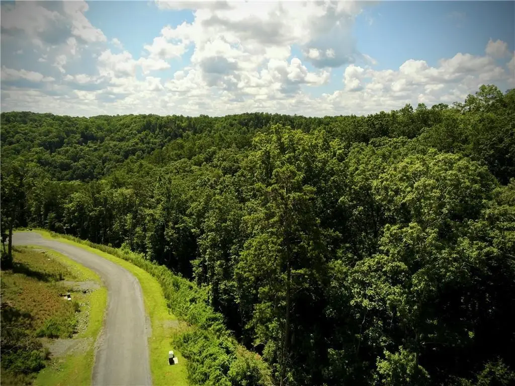 79 River Overlook Lane S, Ellijay, GA 30540 - #1
