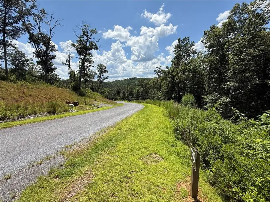 79 River Overlook Lane S, Ellijay, GA 30540 - #2