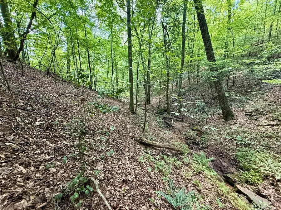 79 River Overlook Lane S, Ellijay, GA 30540 - #3
