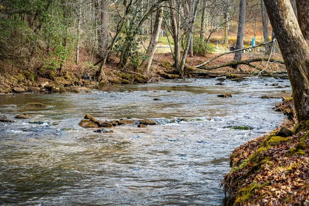 Lot 11B Spence Road, Epworth, GA 30541 - #1