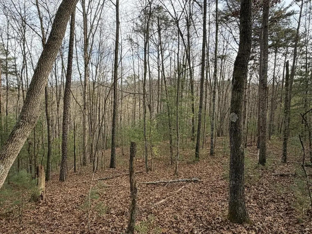 83 Acres Cutcane Road, Mineral Bluff, GA 30559 - Image #1