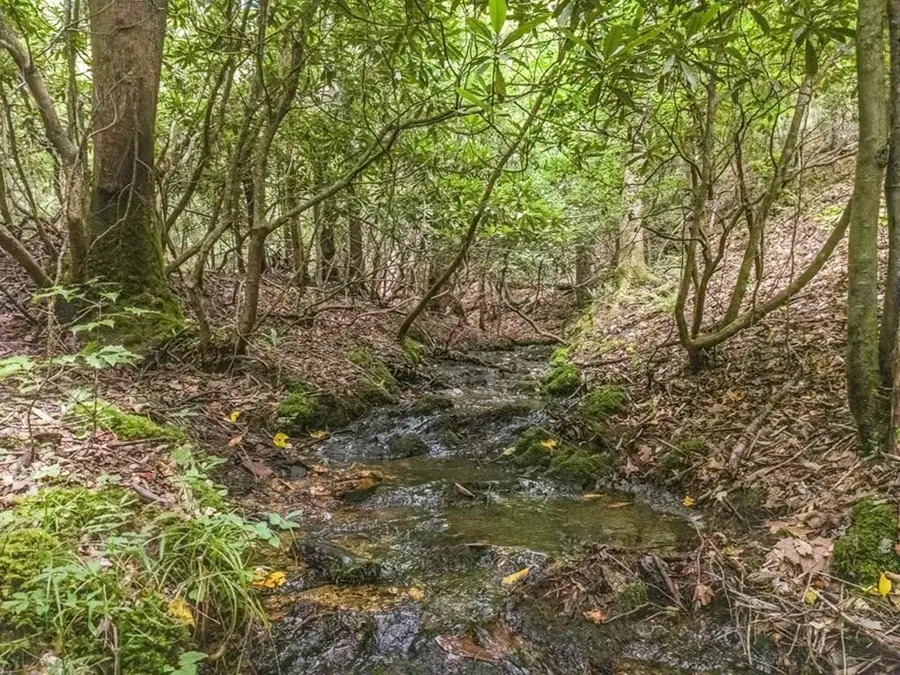 83 Acres Cutcane Road, Mineral Bluff, GA 30559 - Image #2