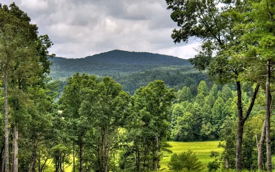 Lot 222 Ridge Drive, Morganton, GA 30560 - Image #2