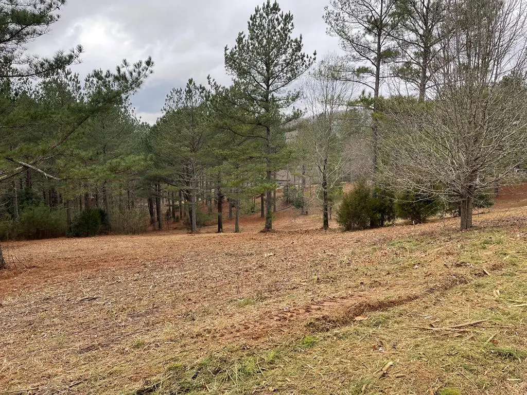 Lot 39 Pinehurst, Blairsville, GA 30512 - Image #1