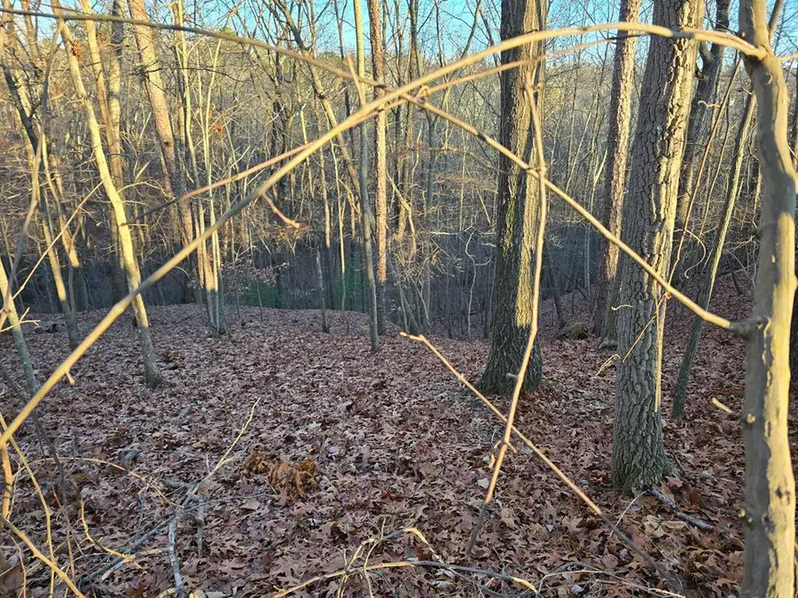 Lot 476 Riverview Drive, Ellijay, GA 30540 - Image #2