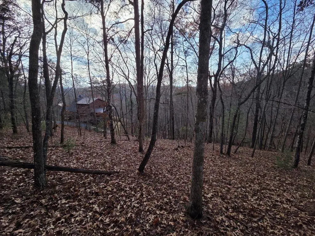 7 Fish Camp Way, Mineral Bluff, GA 30559 - Image #1