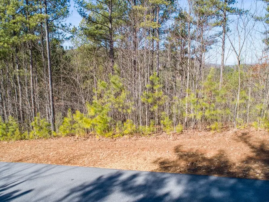 Lt 74 Ridge Crest, Blairsville, GA 30512 - Image #2