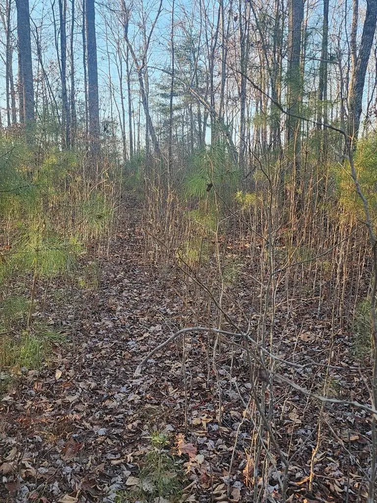 6720 W Hwy 382, Ellijay, GA 30540 - Image #2