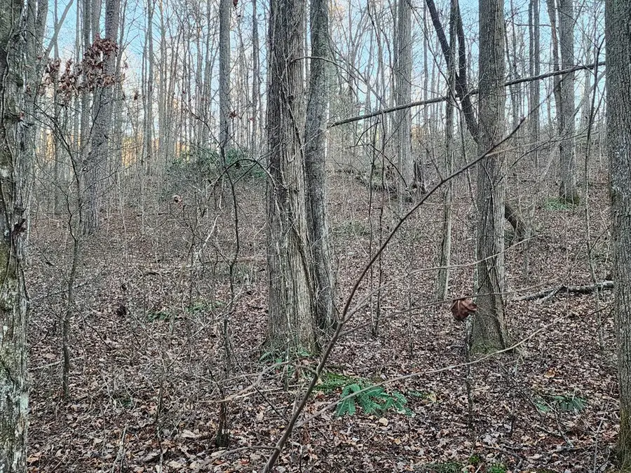 6720 W Hwy 382, Ellijay, GA 30540 - Image #3