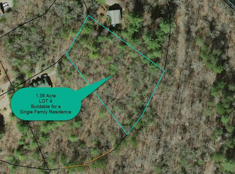16.08 River Run Way, Hayesville, NC 28904 - Image #3